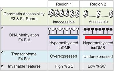 Current Research Approaches and Challenges in the Obesogen Field